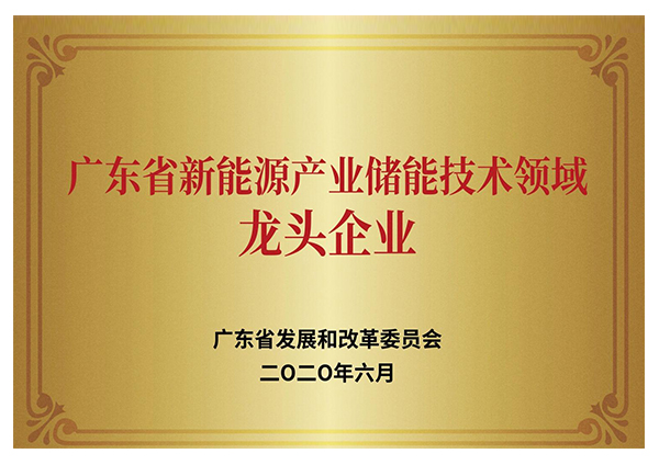 廣東省新能源產業儲能技術領域龍頭企業